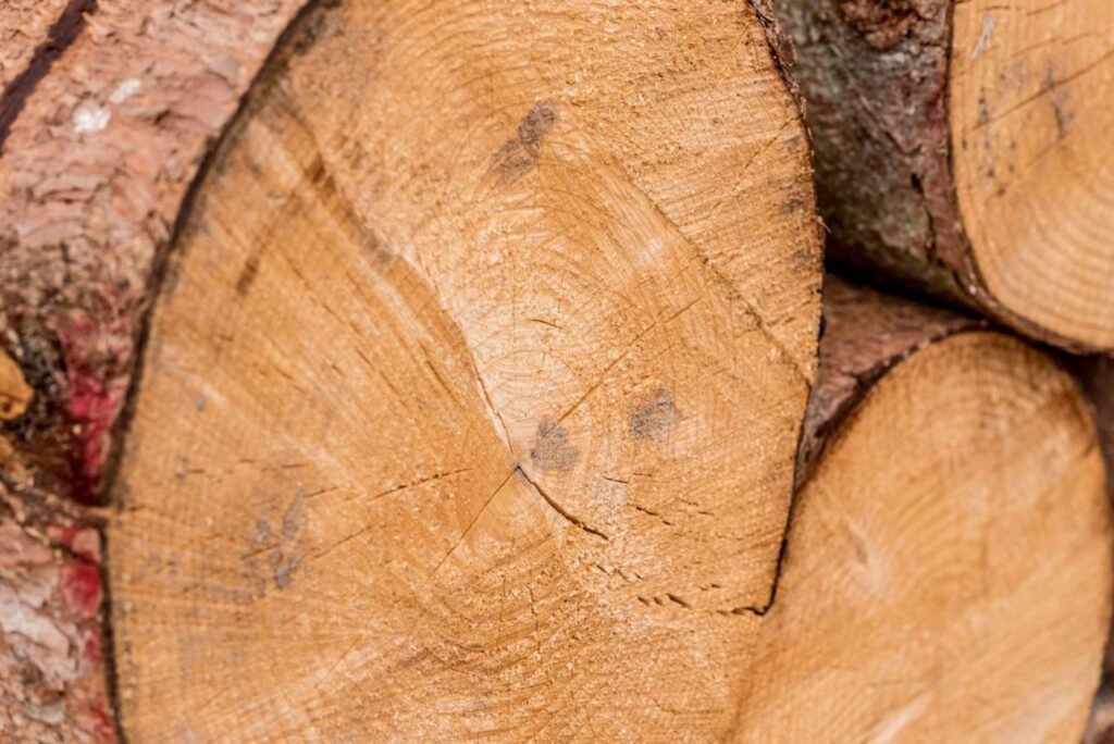 2gy2um7fttos awv8mg5jd69sh1hc7ctdswgtztox88 arht9by2zjldnwzadwae4drqrzu4 oowour lt596b jx8y9mthlh446cmqrzojf udwknnfhi dosuq9neeydebajx9eggprd6xrzv93snl8yc91lb57e1h6km3xtmokykopw9yhcbzvvrgrbze